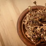 Ferienhaus Pension Gulla 펜션