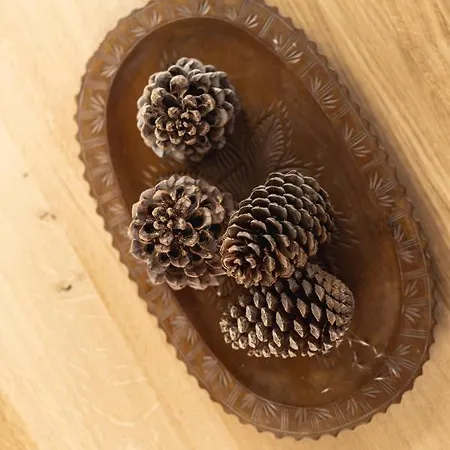 Ferienhaus Pension Gulla Casa vacanze *