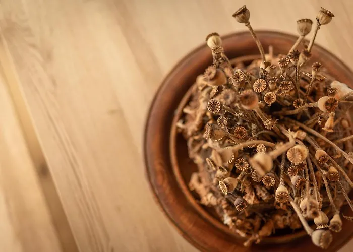 Ferienhaus Pension Gulla Holiday home