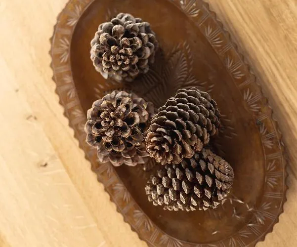 Ferienhaus Pension Gulla Holiday home *